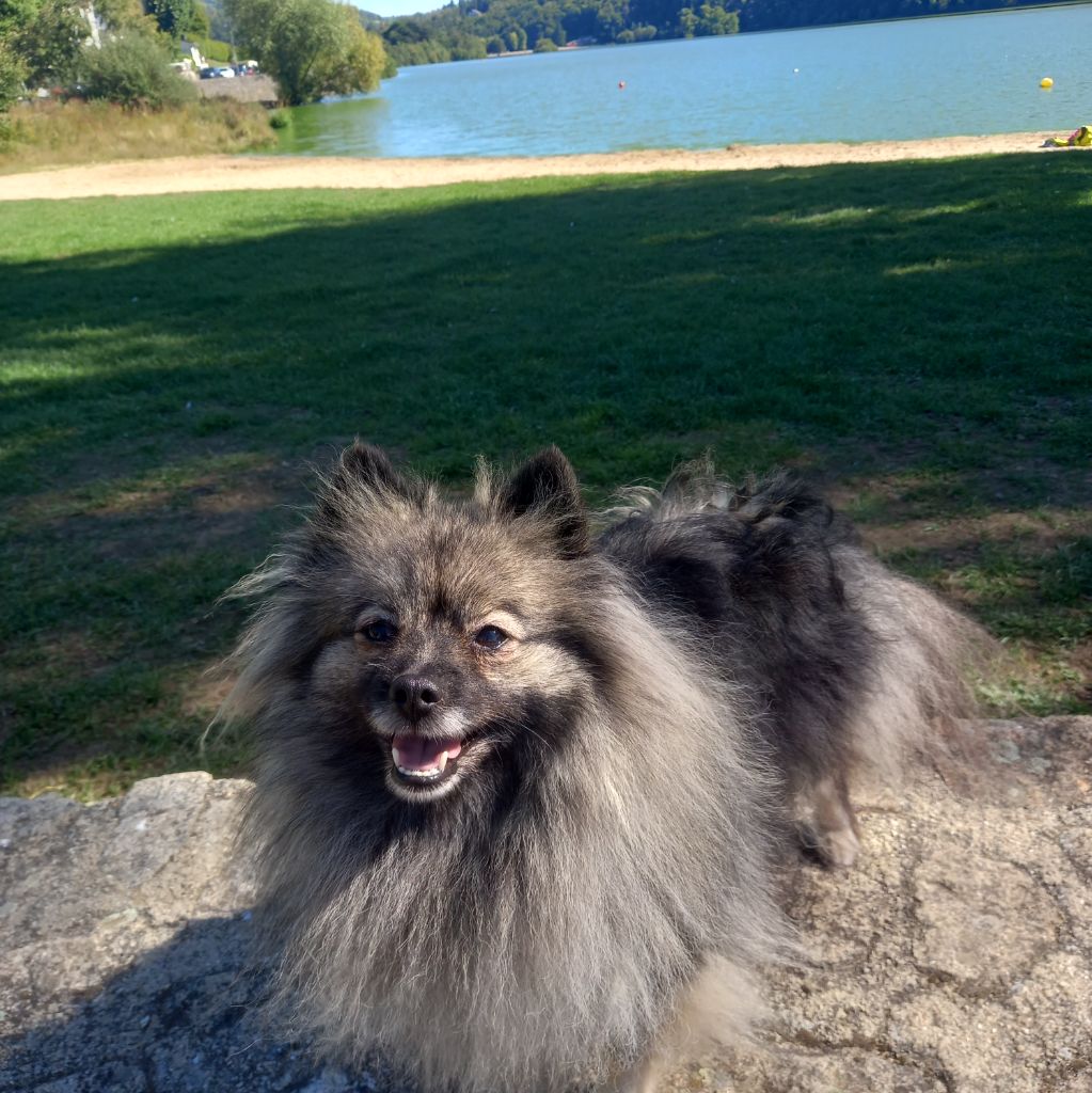 RIPLEY BIENTÔT MAMAN